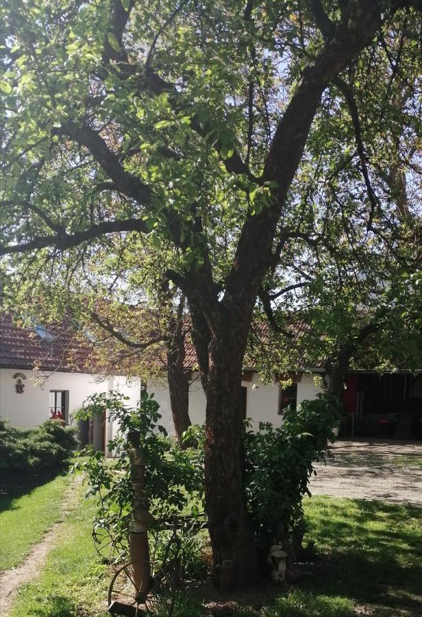 Keramicky A Vytvarny Atelier Konesin Εξωτερικό φωτογραφία